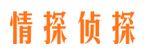 普兰寻人公司